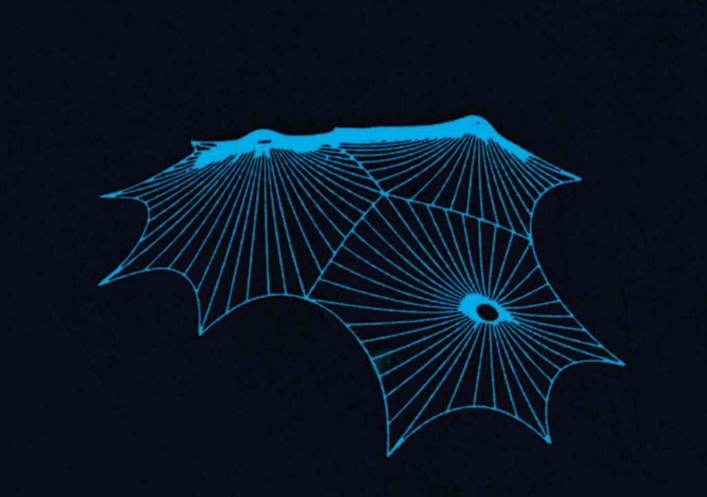 Schéma filaire d’une structure tendue